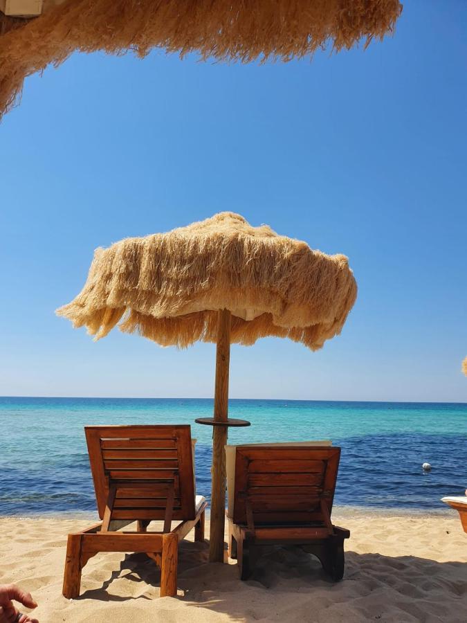 B&B Patty Nardò Dış mekan fotoğraf