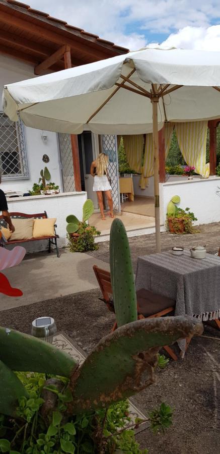 B&B Patty Nardò Dış mekan fotoğraf