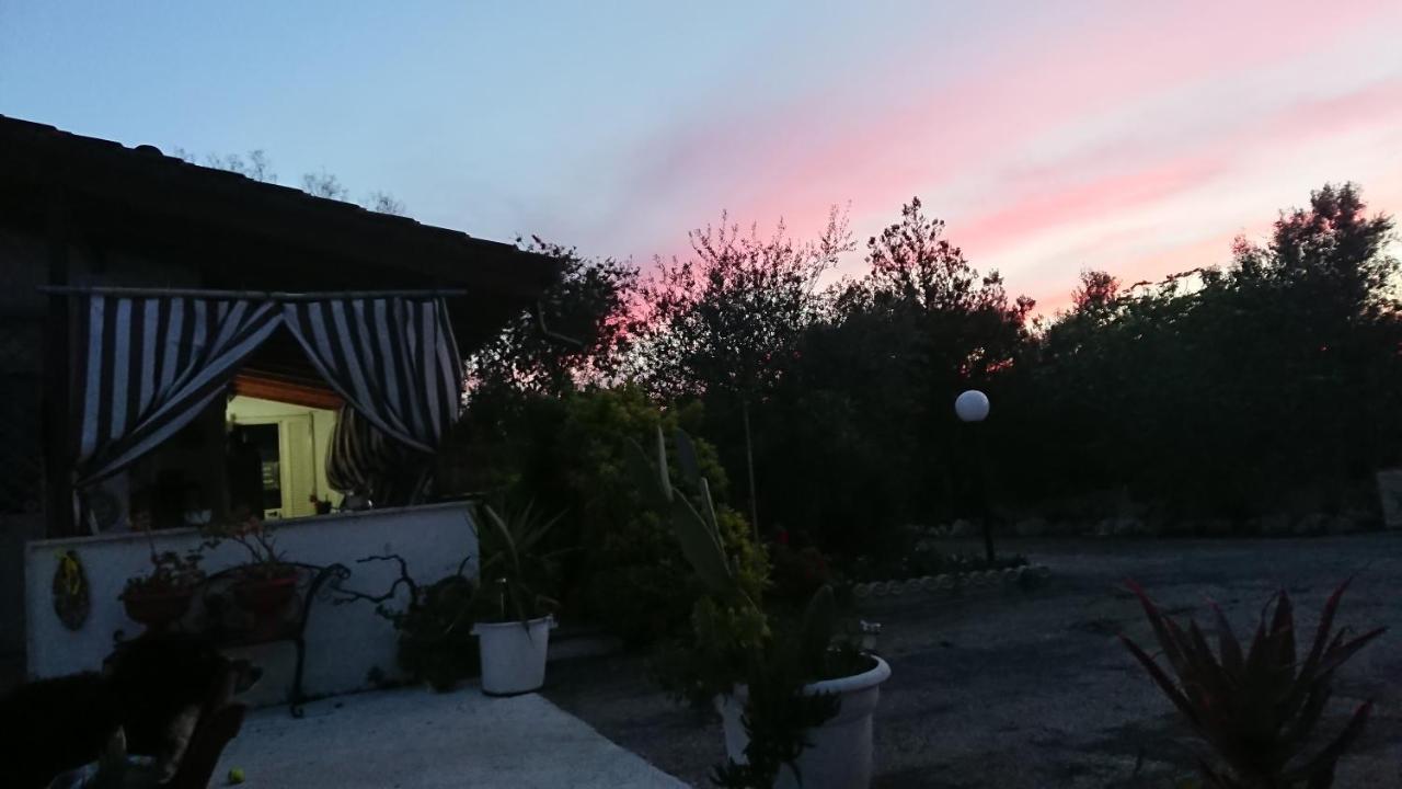 B&B Patty Nardò Dış mekan fotoğraf